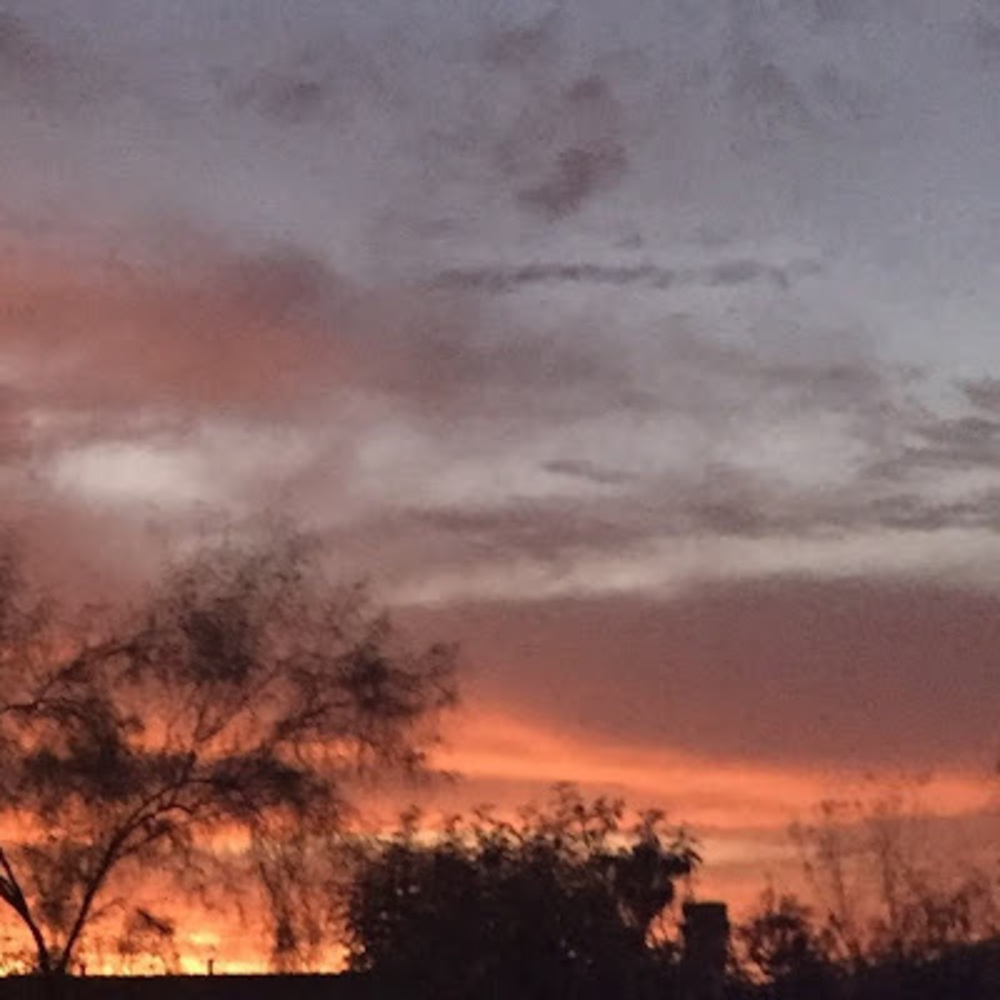 Meet your Posher, Cailin